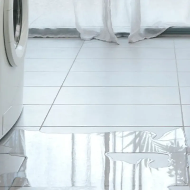 Appliance Leak Cleanup in Rome City, IN