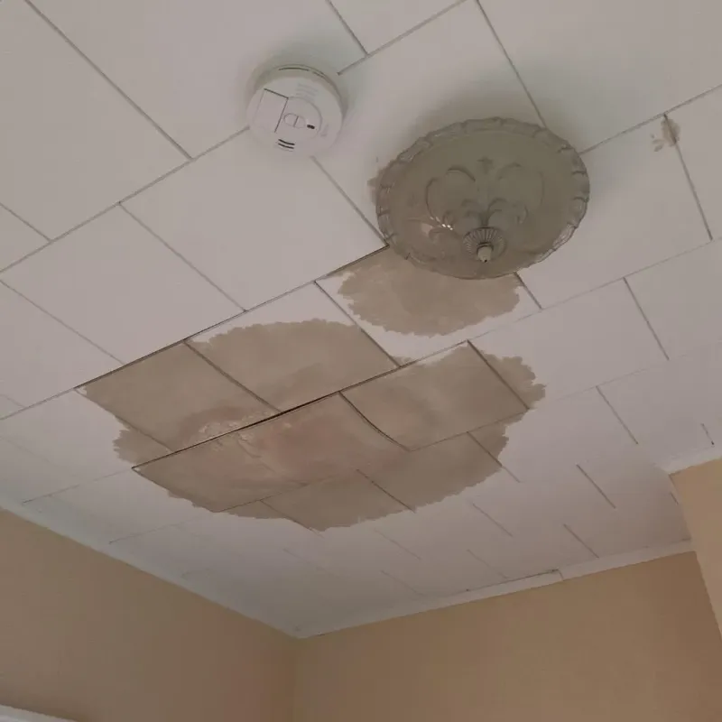 Ceiling Water Damage Repair in Rome City, IN