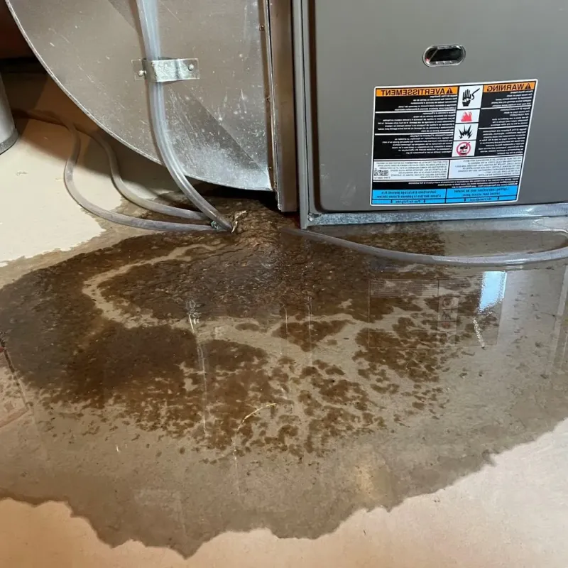 Pipe Burst and Leak Restoration in Rome City, IN