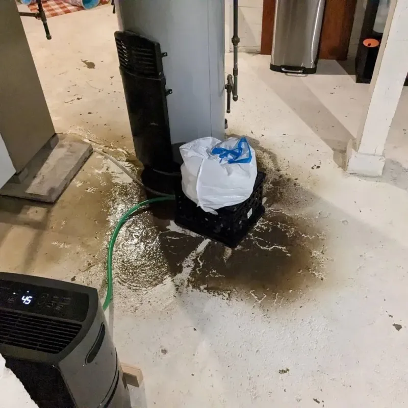 Sewage Backup Cleanup Service in Rome City, IN